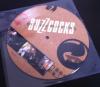 Buzzcocks - Sell You Everything 7"