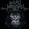 2nd Class Substitutes - Among Apes 10inch Vinyl
